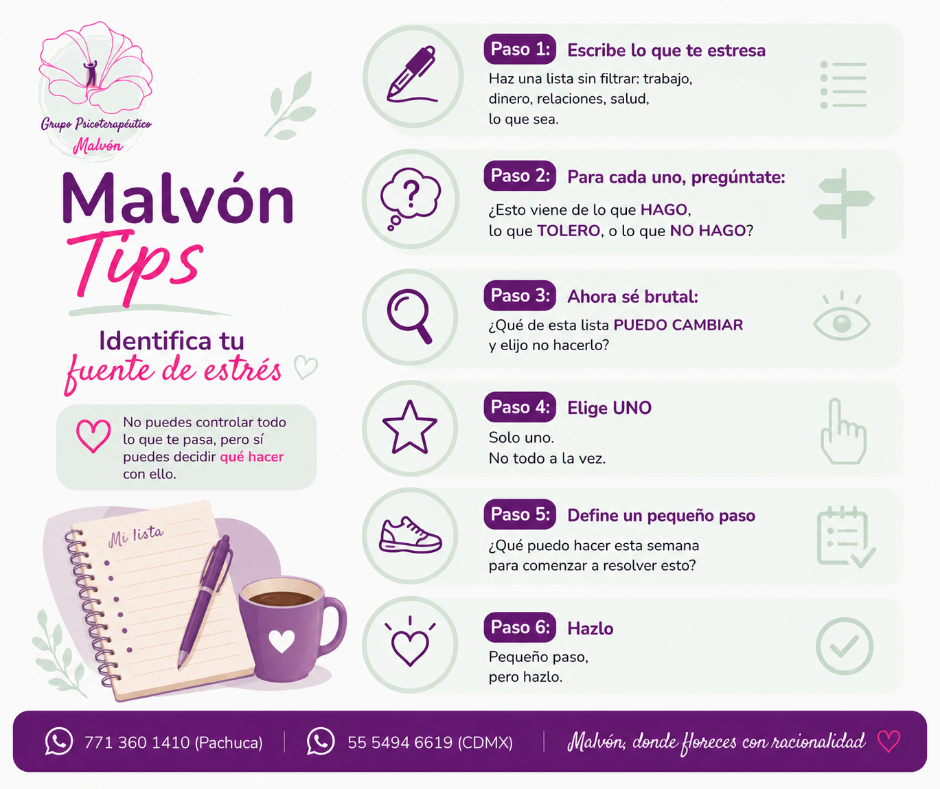 Imagen complementaria del artículo